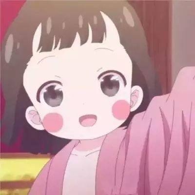 莫桑比克总统查波抵达北京